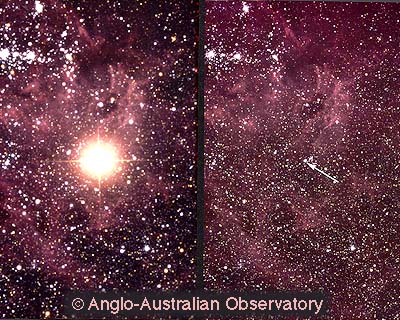 http://www.oberlin.edu/physics/dstyer/Astronomy/Supernovae/SN1987A.jpg