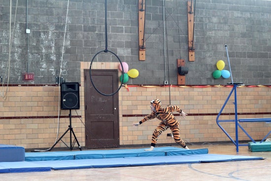 Performer in tiger costume prepares to run