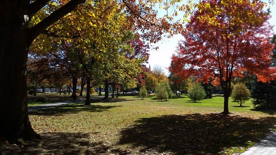 Tappan square with green grass and fall foliage 