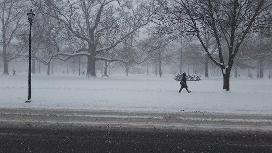 A lone walker in a snowy Tappan square