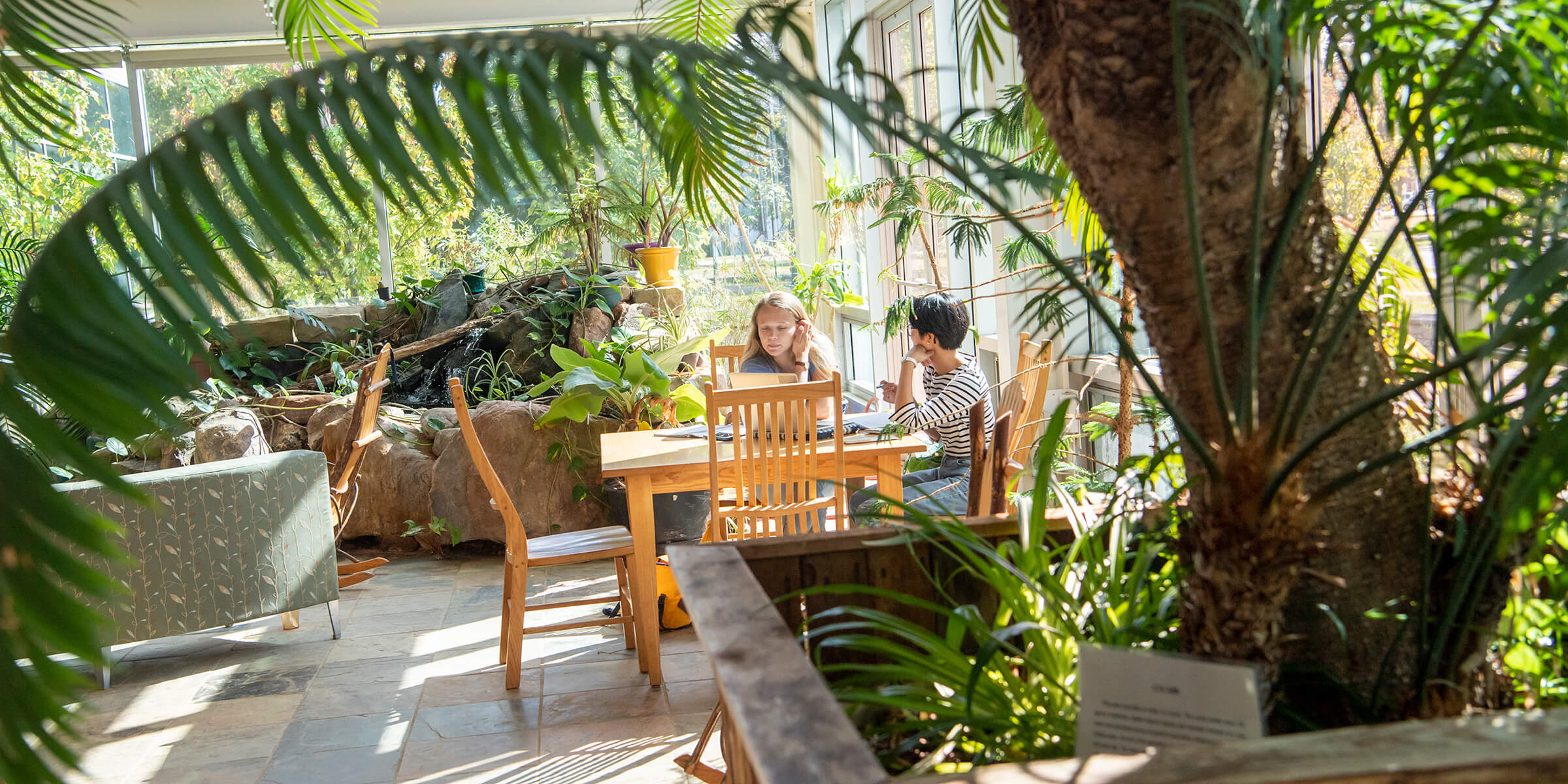A student and professor meet in a sunny, plant-filled atrium.