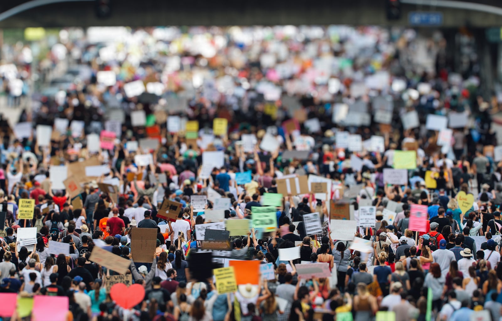 A crowd gathers with signs