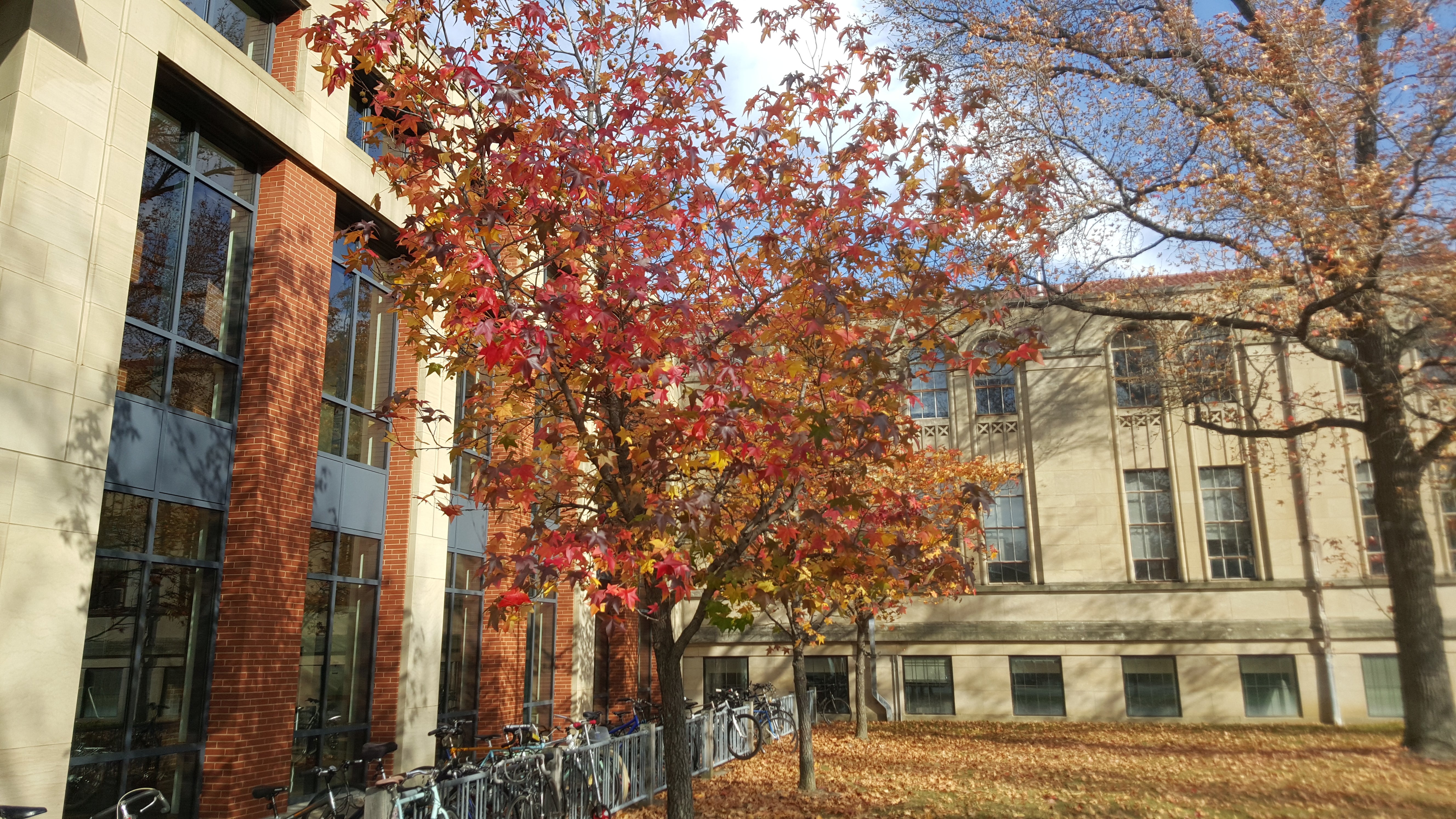 External view of the Science Center