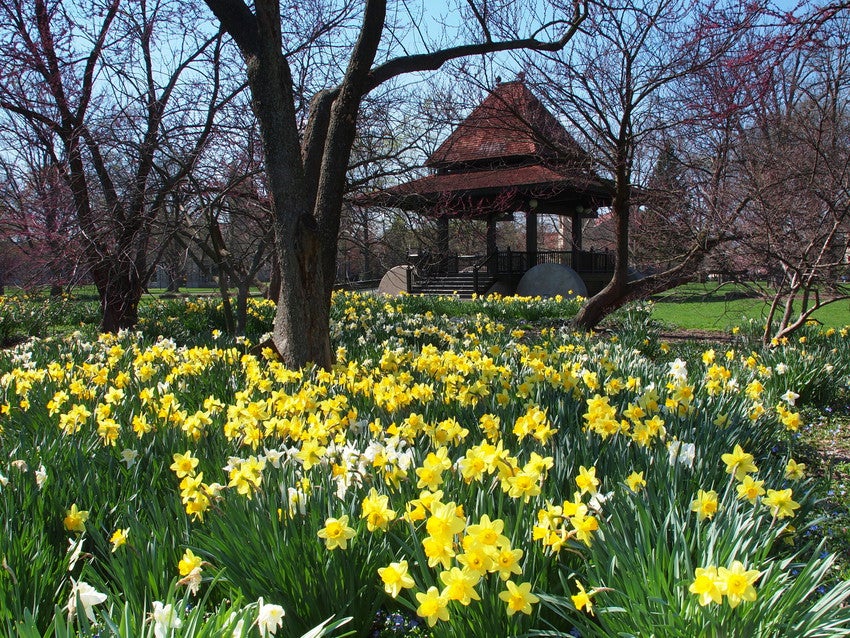 Bandstand with Flowers