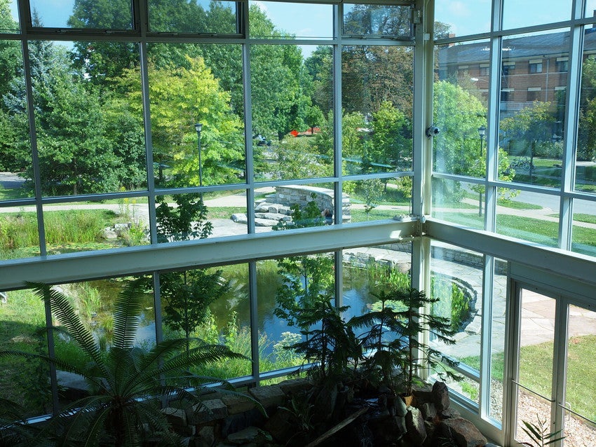AJ Lewis Center's windows
