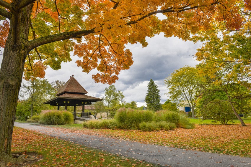 The Bandstand surrounded by fall leaves
