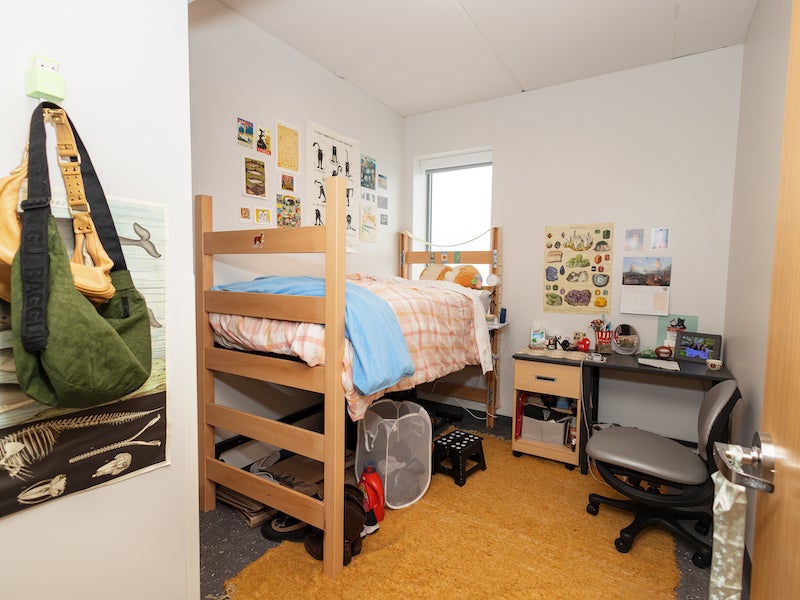 Woodland student bedroom.