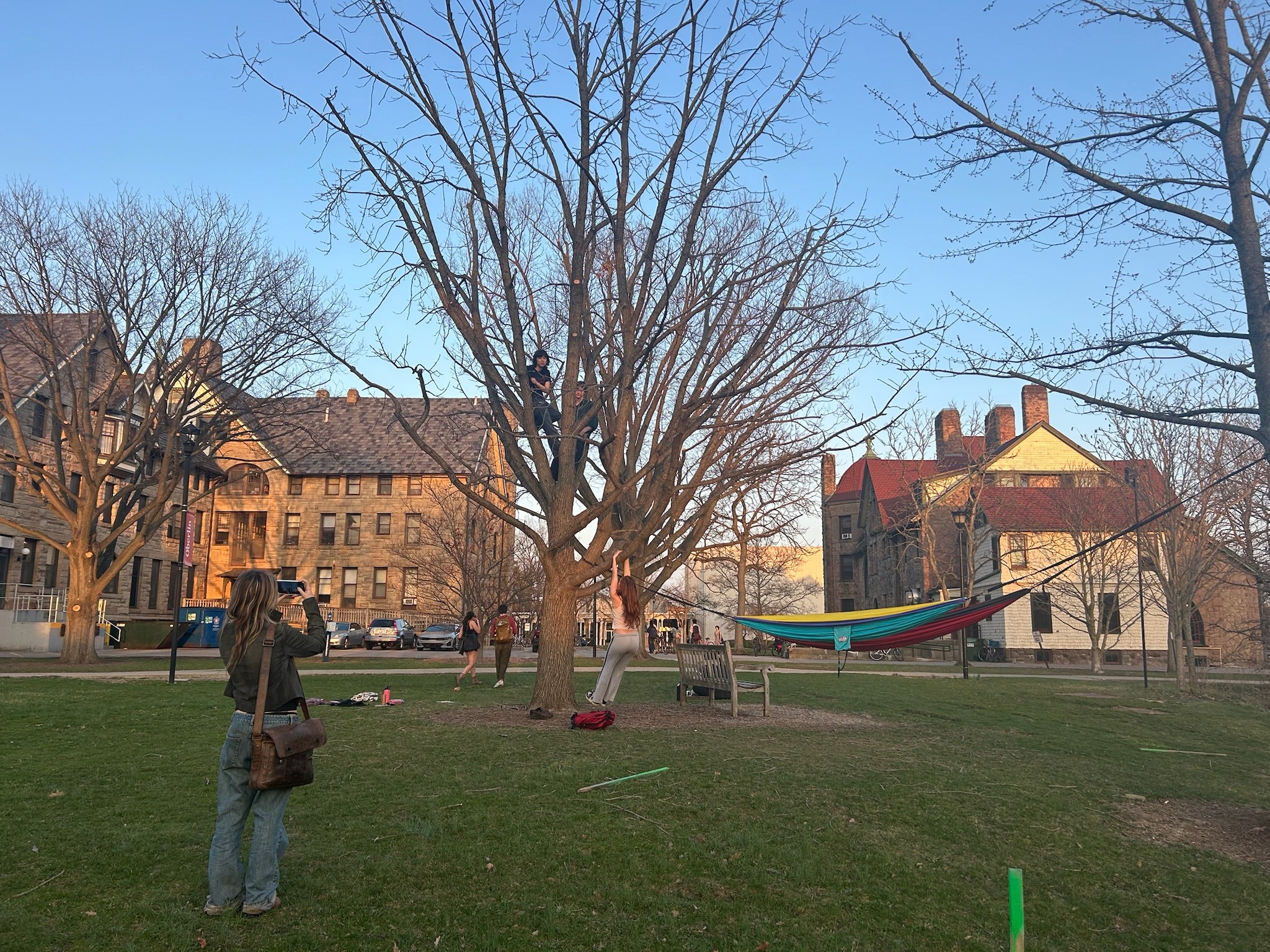 Hark students climbing a tree and playing in the grass.
