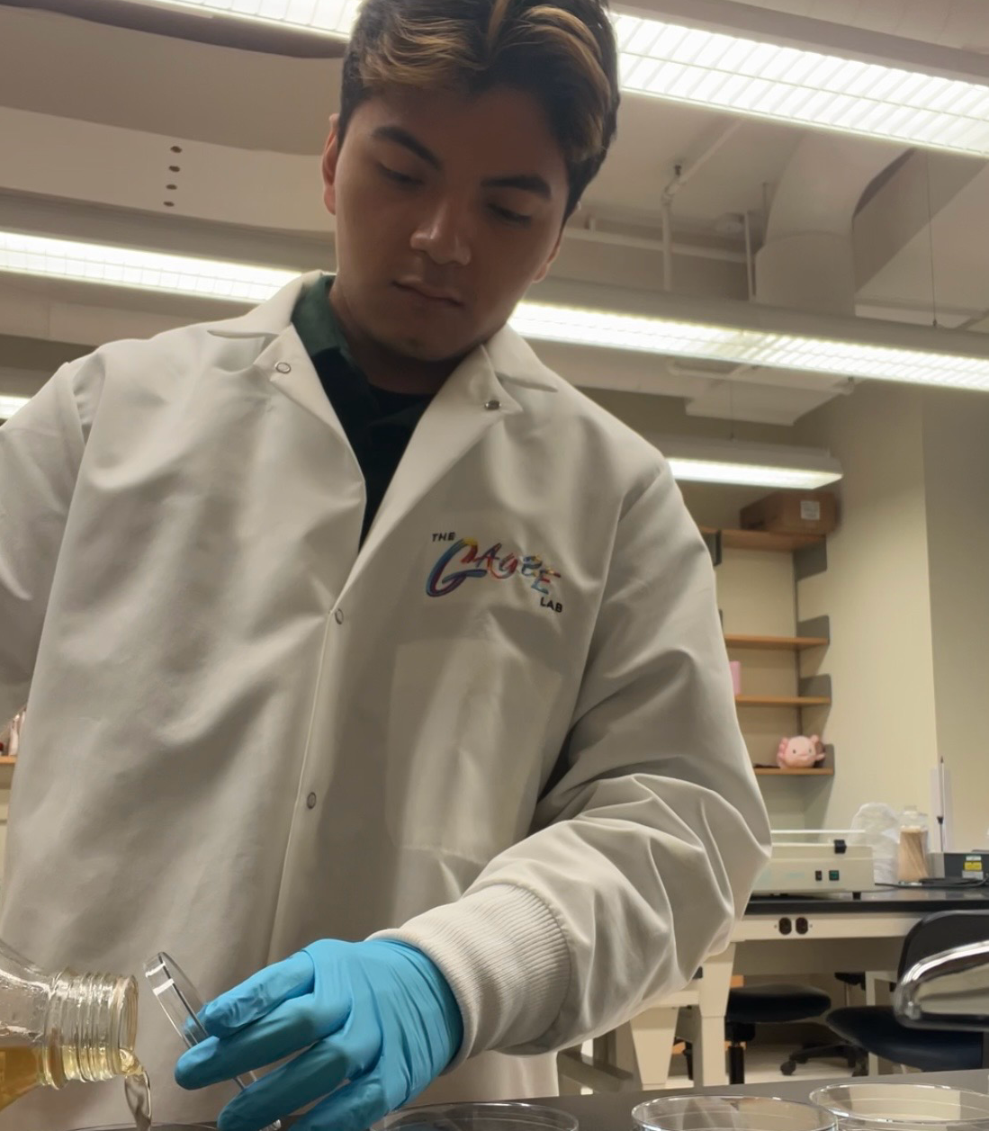Lemuel Pacheco conducts experiments in Prof. Gaybe Moore's lab.