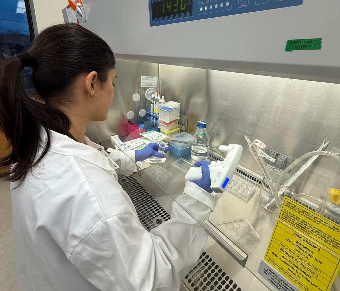 Melisa Punjani conducts experiments in the Johnson Lab.