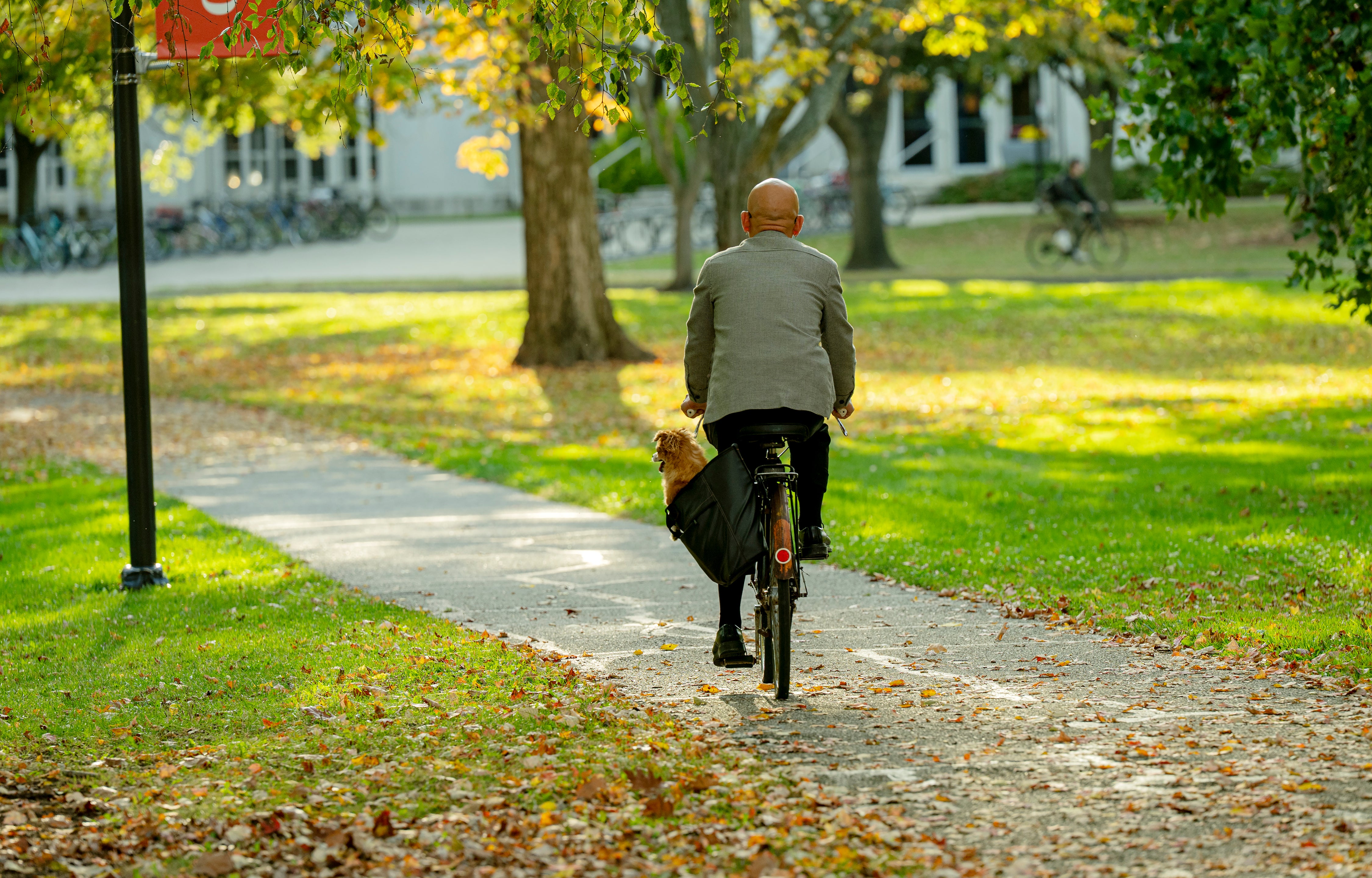 Pipo Nguyen-duy, seen from behind, riding a bicycle along a leaf-strewn path on the Oberlin campus with his small dog peeking out of a pannier bag.