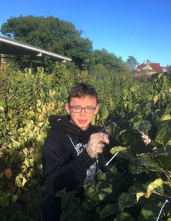 Buster Coe OC '19 works on hazel research as part of his Systems Ecology course