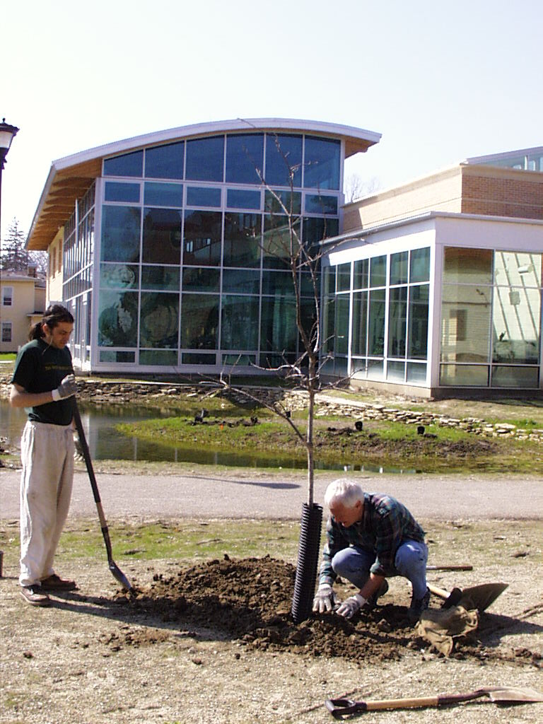2 people plant a tree in bare dirt outside the new building