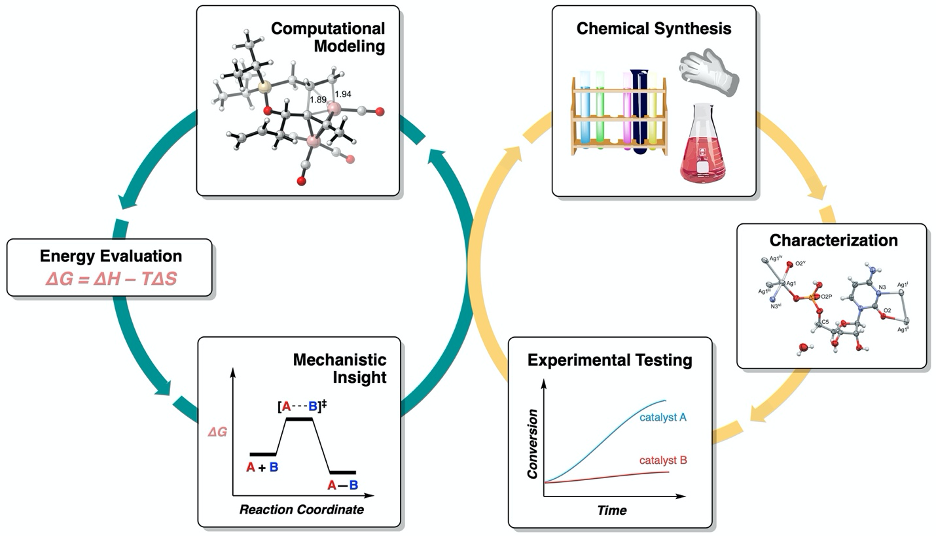 Synergy between computational and experimental chemistry: computational modeling and energetic evaluation leads to mechanistic insight, guiding chemical synthesis of catalysts and reagents with improved efficiency.