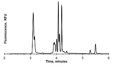 An electropherogram, plotting the relative fluorescence vs. the time in minutes, showing an initial separation and detection of neurotransmitter standards. The electropherogram contains multiple peaks, each corresponding to a different chemical in the separation.