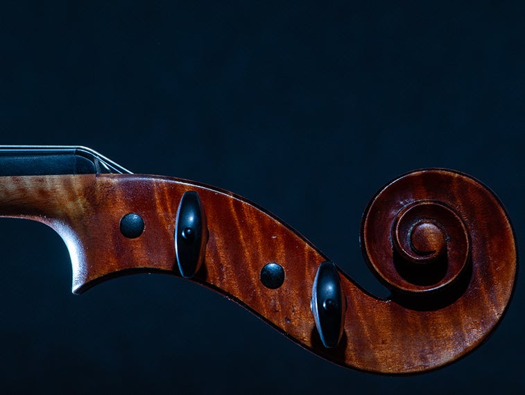 viola scroll photographed on a blue background.