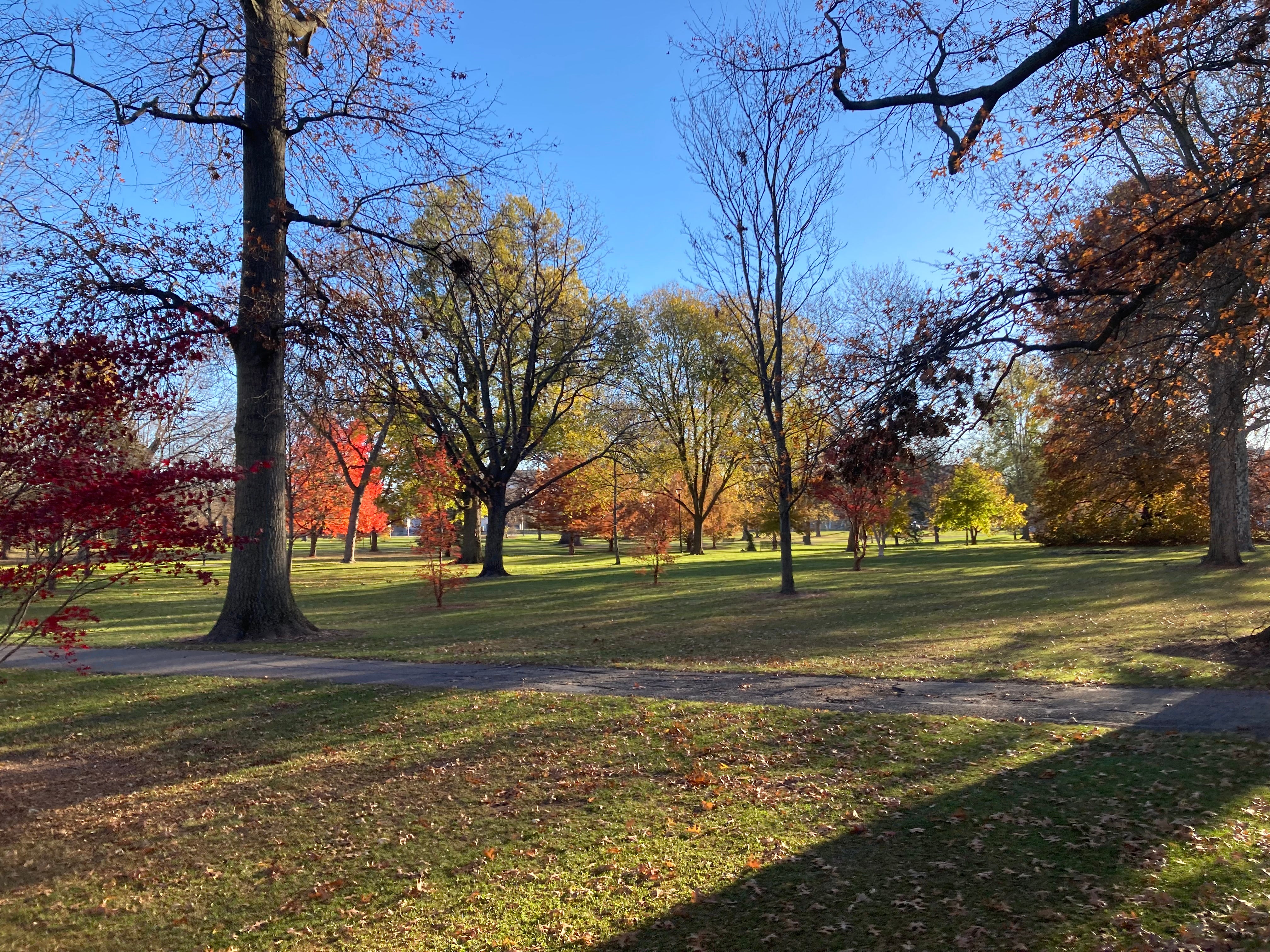 A view across Tappan Square in autumn.