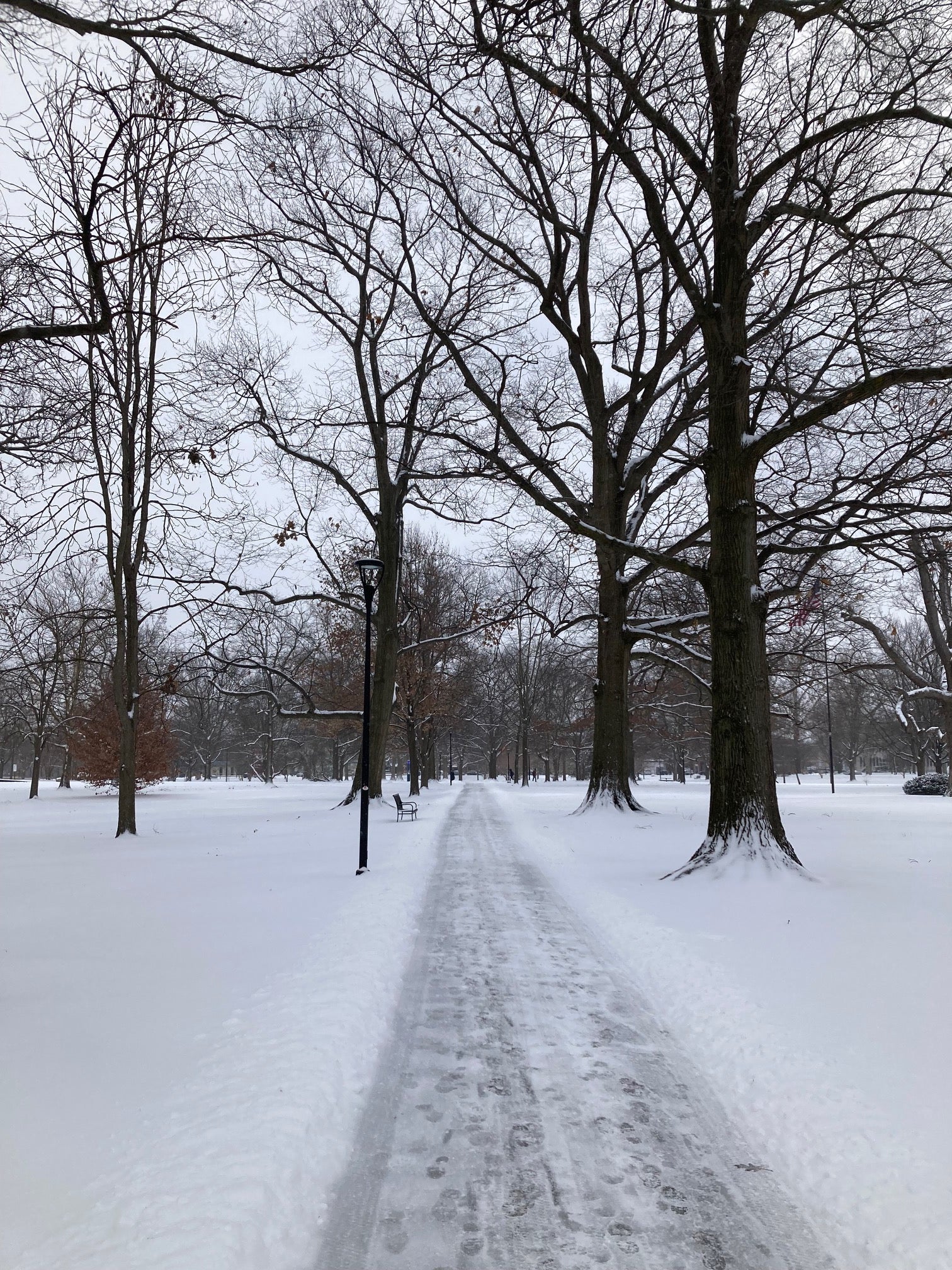 A view along a snowy path in Tappan Square.