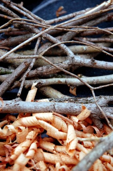 Close up of sticks and wood shavings