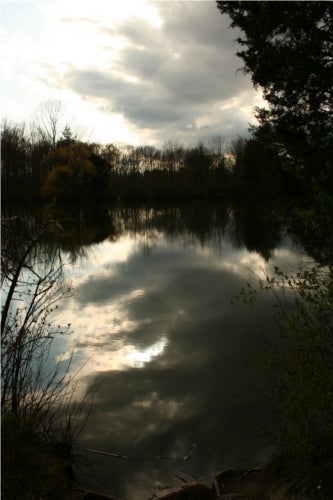 A view of the water at the arb. The water has a mirror effect of the cloud filled sky