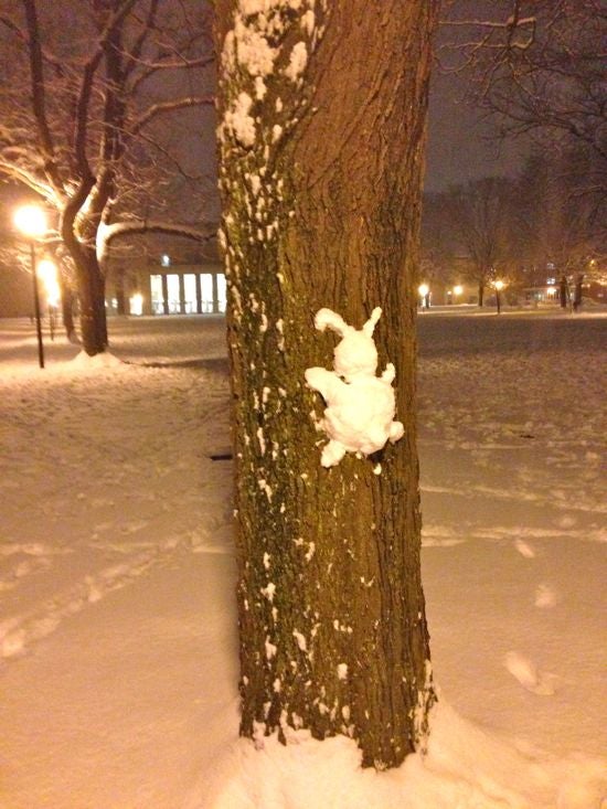 Snow sculpture of a large insect on a tree