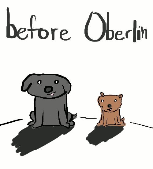 "before oberlin" illustration of two groomed dogs fading into a "after Oberlin" illustration of two un-groomed dogs