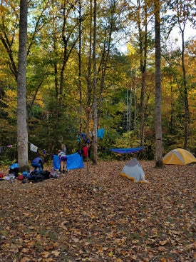 A camp sight with clotheslines, a tent, and a hammock