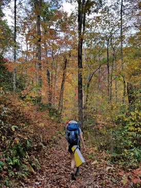A hiker walks through foliage 