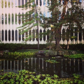 a pond reflects the conservatory building's hexagonal windows