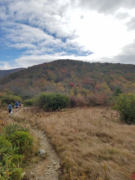 Hikers walk through meadows in the fall