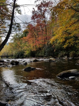 A river in fall foliage 