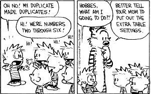 Calvin & Hobbes comic strip. There are several identical Calvins. First Calvin: Oh no! My duplicates made duplicates! Second Calvin: Hi! We're numbers 2 through 6! First Calvin: Hobbes, what am I going to do? Hobbes: Better tell your mom to put out the extra table settings.
