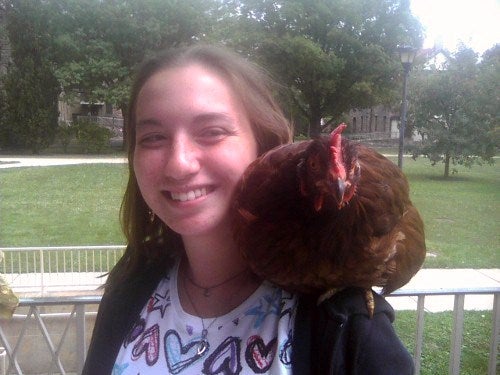 The chicken sitting on another persons shoulder. Both are posed for the photo 
