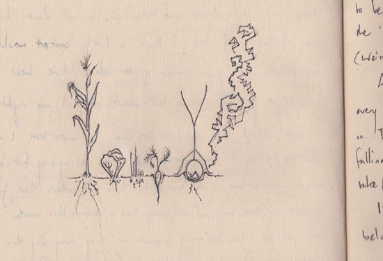A stick figure doing a headstand in the dirt next to growing plants