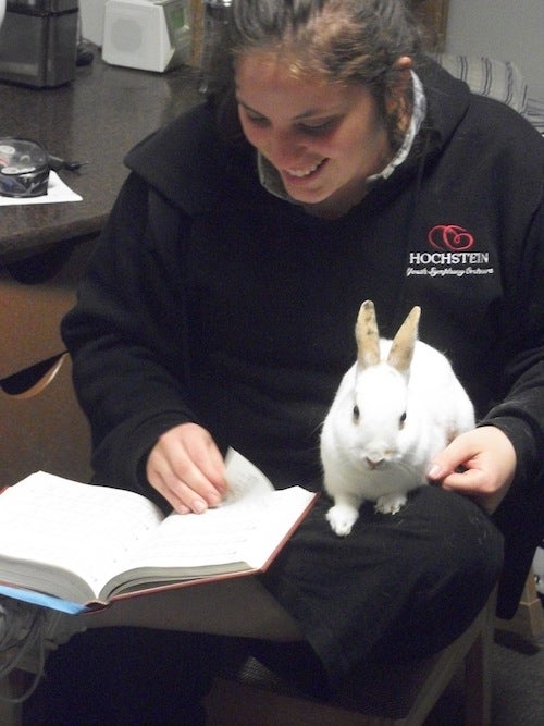 A student reads a book with a bunny on their lap 