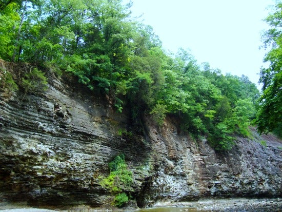 A view of Chance Creek 