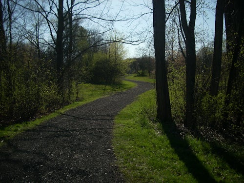 A view of the path in the arboretum. The weather is sunny and the trees have patches of green