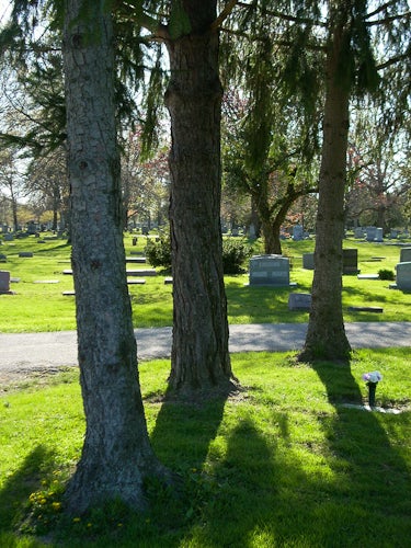 A view of a cemetery interspersed with lots of trees
