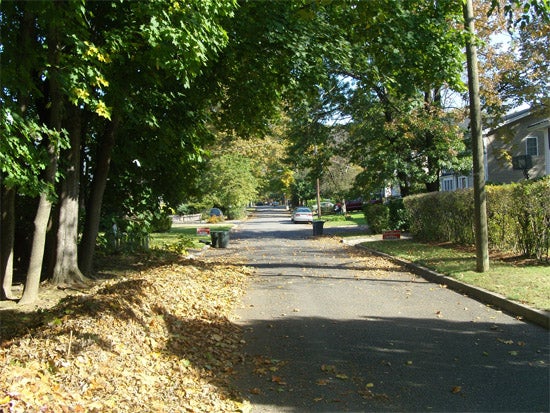 Pile of dead leaves on a street 