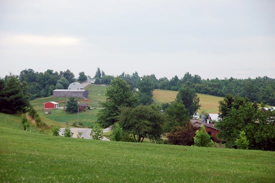 Hilly farmland
