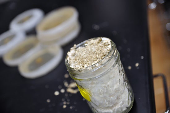 A small jar in the lab is filled with something white and crusty