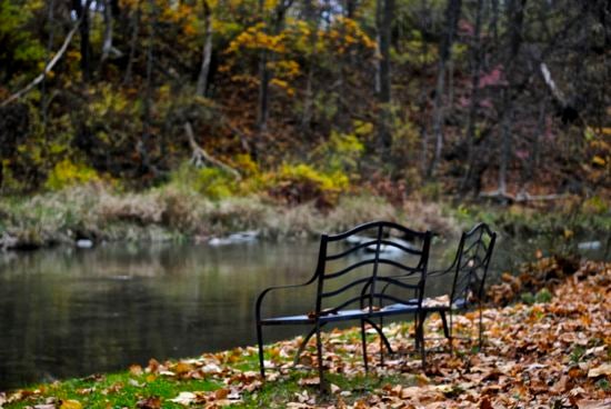 Cast-iron benches overlook a scenic river in the woods.