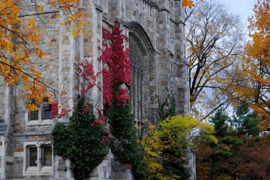 Colorful ivy covers a Gothic-style stone building.