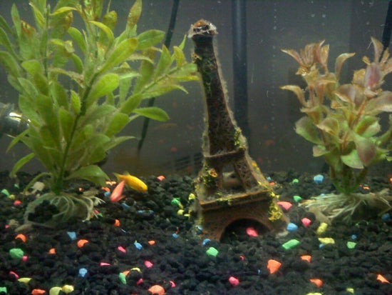 A fish bowl with a miniature eiffel tower