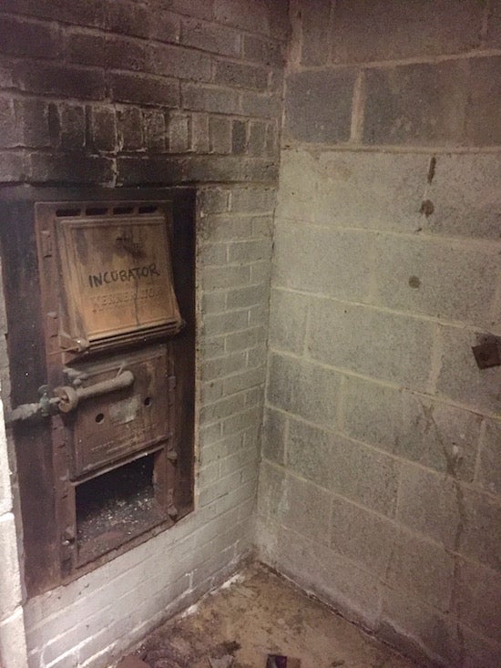 Iron ash bin in a basement wall, upon which someone has written 'incubator'.