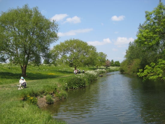 River with greenery surrounding