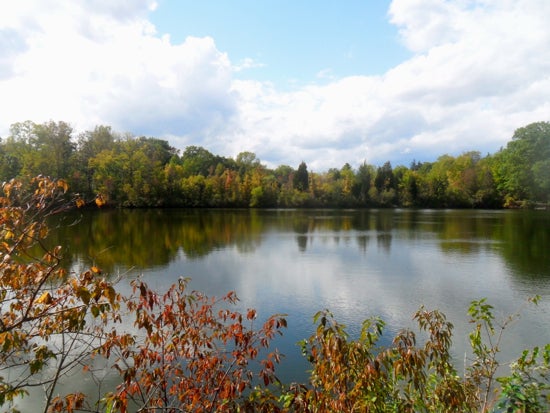 The pond at the arb with green and red foliage