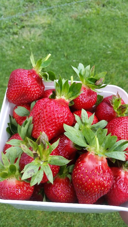 Strawberries in a box