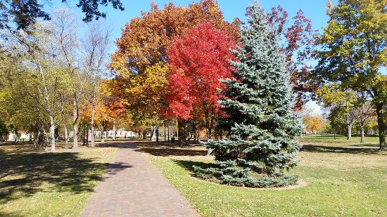 Tappan square with fall foliage 