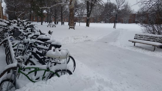 A bike rack in the snow